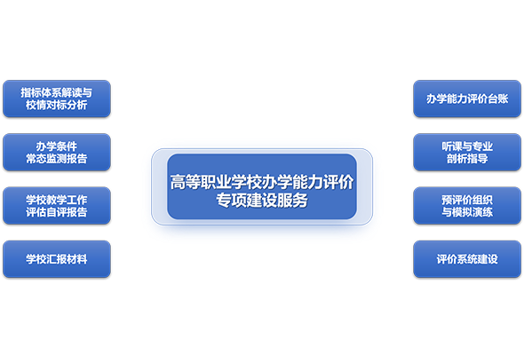 高等职业学校办学能力评价专项建设服务